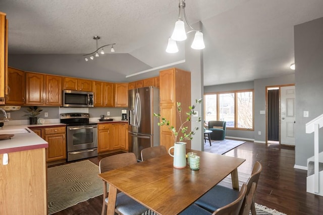 kitchen with lofted ceiling, sink, stainless steel appliances, dark hardwood / wood-style flooring, and decorative light fixtures