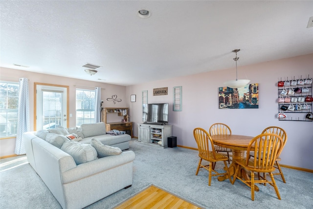 living room featuring light colored carpet