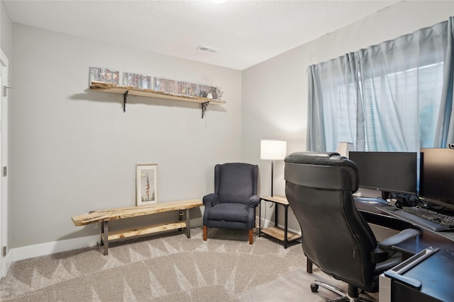 office featuring light colored carpet