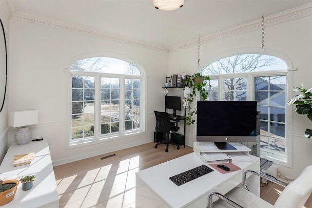 office featuring ornamental molding, plenty of natural light, and light hardwood / wood-style floors