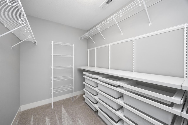 spacious closet featuring carpet floors