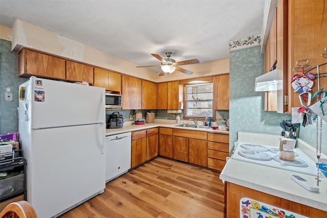 kitchen featuring sink, white appliances, ceiling fan, light hardwood / wood-style floors, and decorative backsplash