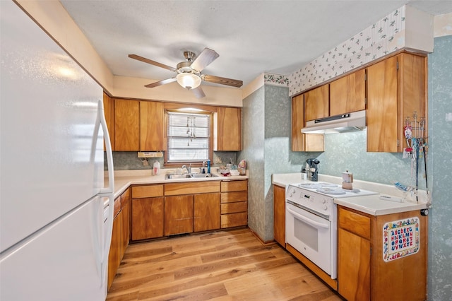 kitchen with ceiling fan, white appliances, sink, and light hardwood / wood-style flooring