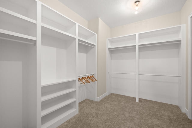 spacious closet with carpet flooring