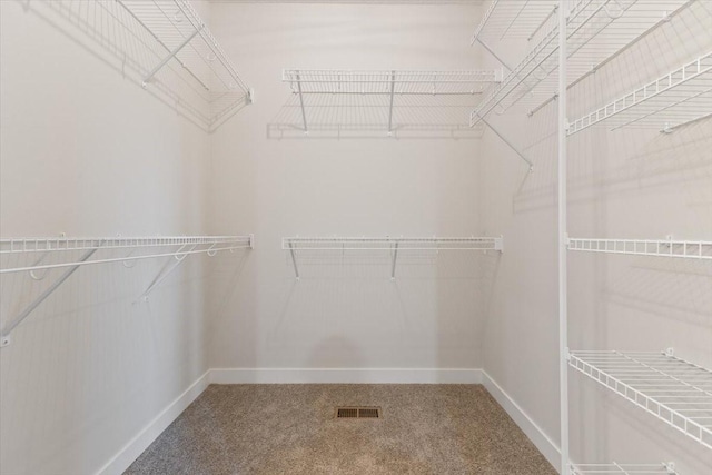 625 NW Georgetown Dr, Waukee, IA 50263 - spacious closet featuring carpet flooring