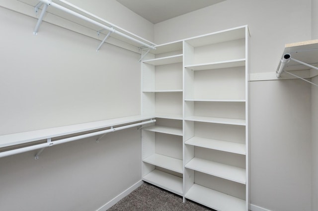 spacious closet featuring dark colored carpet