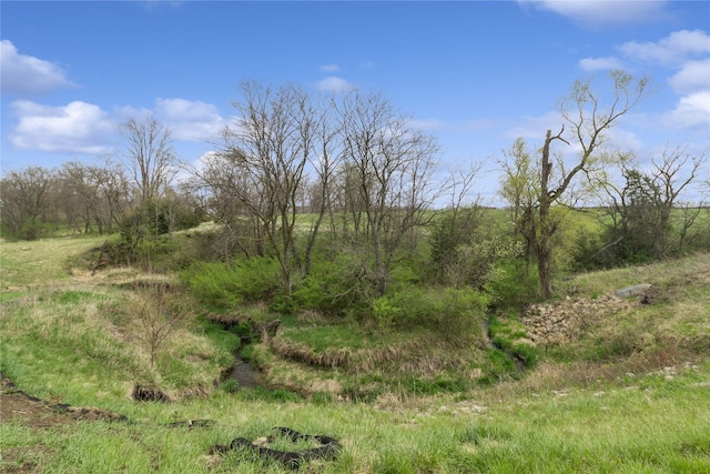 view of nature