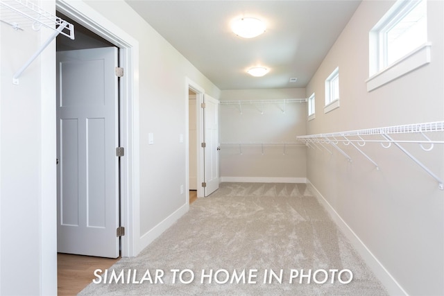 walk in closet with carpet flooring