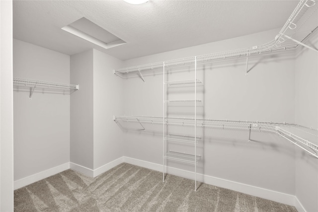 spacious closet with carpet flooring