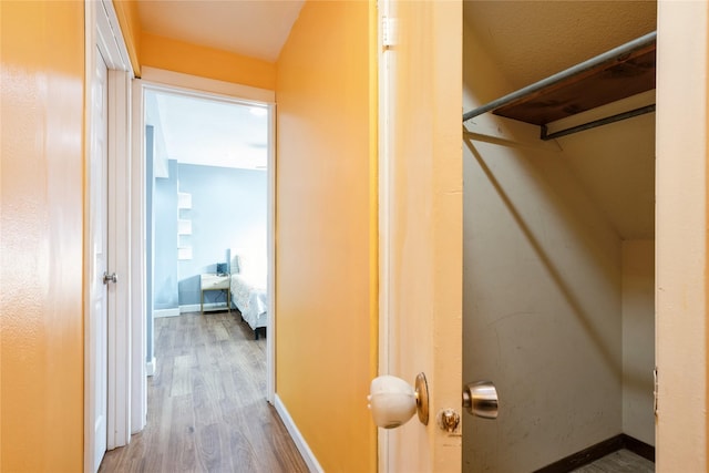 hallway featuring wood-type flooring