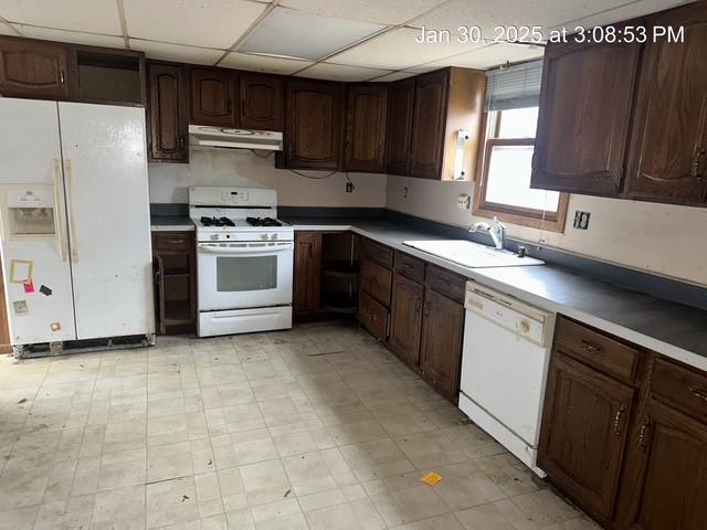 kitchen with dark brown cabinetry, sink, a paneled ceiling, and white appliances