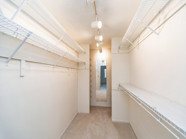 spacious closet with light carpet