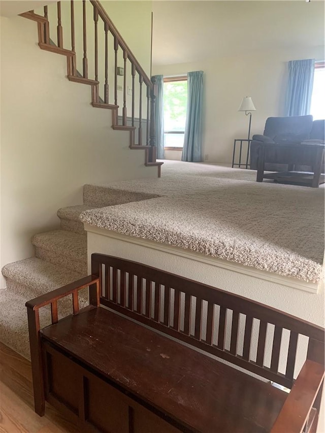 stairs with hardwood / wood-style flooring