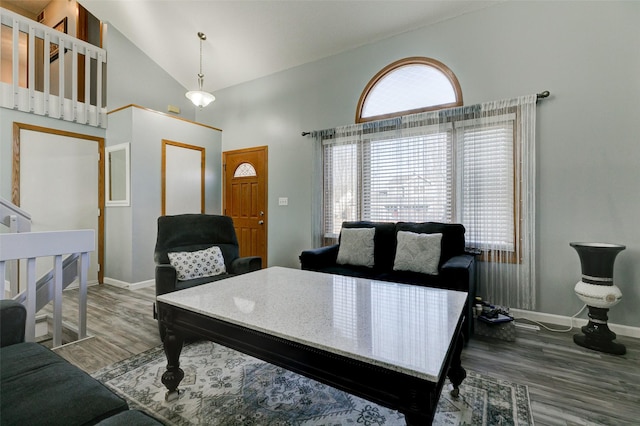 living room with hardwood / wood-style floors and high vaulted ceiling