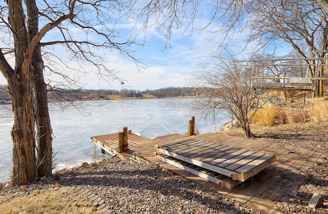 dock area with a water view