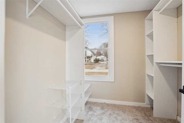 walk in closet featuring light carpet