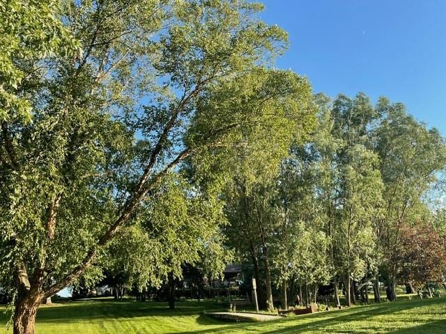 view of home's community featuring a lawn