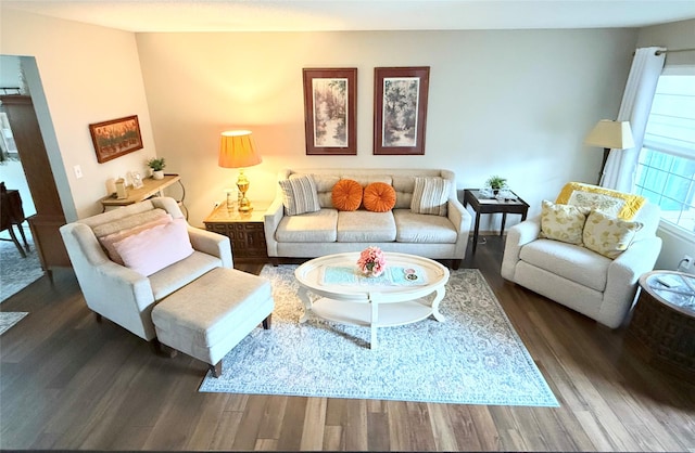 living room with dark hardwood / wood-style floors