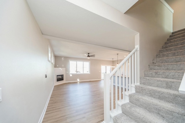 stairway with ceiling fan and wood-type flooring