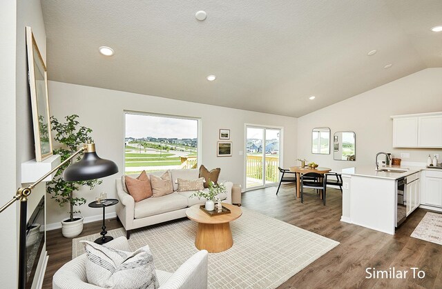 living room with lofted ceiling, sink, dark hardwood / wood-style floors, and a textured ceiling