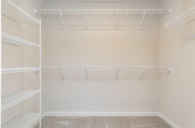 walk in closet featuring carpet flooring