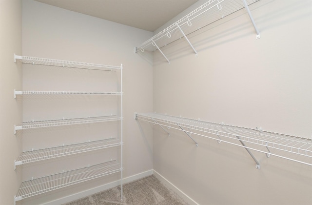 spacious closet with carpet