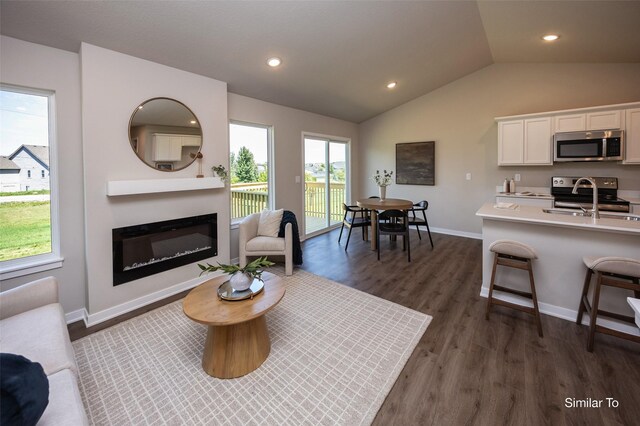 living room with lofted ceiling and dark hardwood / wood-style flooring