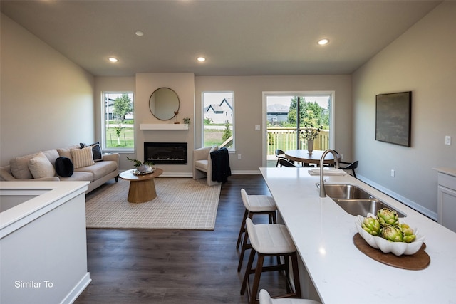 living room featuring dark hardwood / wood-style flooring and sink