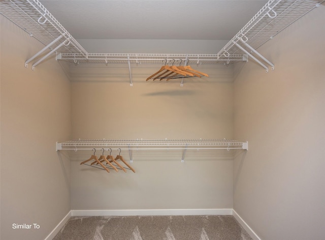 walk in closet with carpet flooring