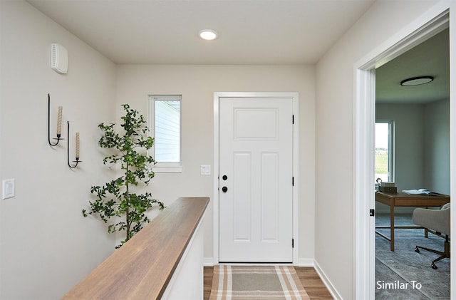 entryway featuring plenty of natural light