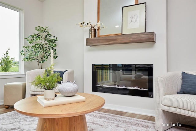 sitting room featuring hardwood / wood-style floors