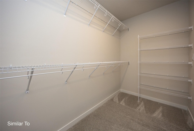 walk in closet featuring carpet floors