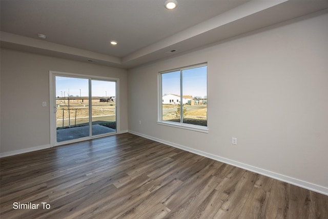 empty room with wood-type flooring, plenty of natural light, and a tray ceiling