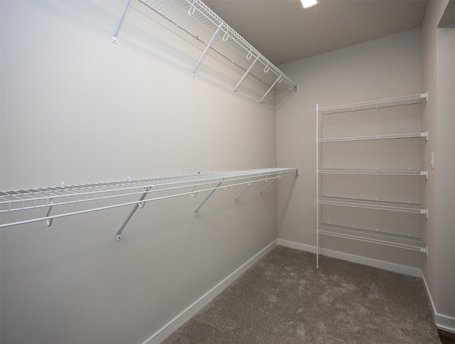 spacious closet with dark colored carpet