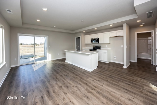 kitchen with a raised ceiling, an island with sink, and appliances with stainless steel finishes