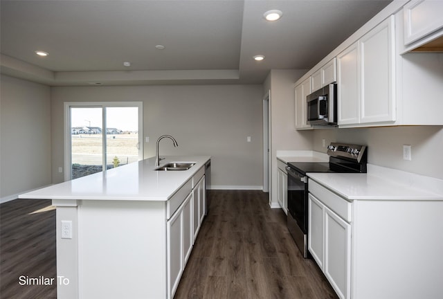 kitchen with white cabinetry, sink, a kitchen island with sink, a tray ceiling, and stainless steel appliances