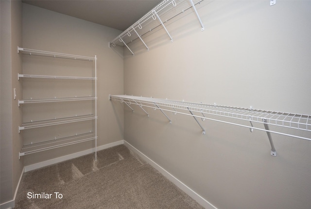 walk in closet featuring carpet flooring