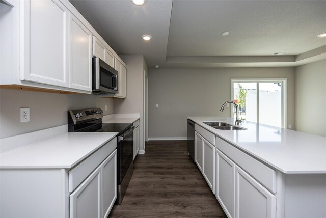 2232 Legacy Dr, Norwalk, IA 50211 - kitchen featuring appliances with stainless steel finishes, a sink, recessed lighting, dark wood-style flooring, and light countertops