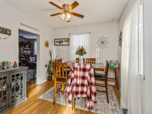 220 N 1st St, Carlisle, IA 50047 - photo 6
