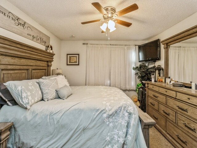 220 N 1st St, Carlisle, IA 50047 - photo 14