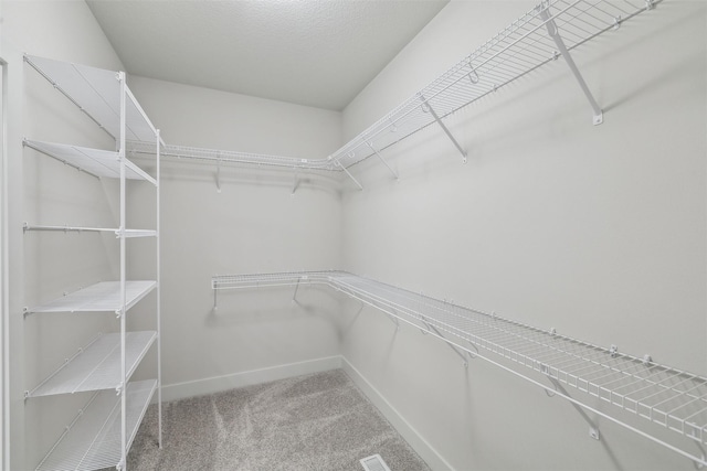 walk in closet featuring carpet