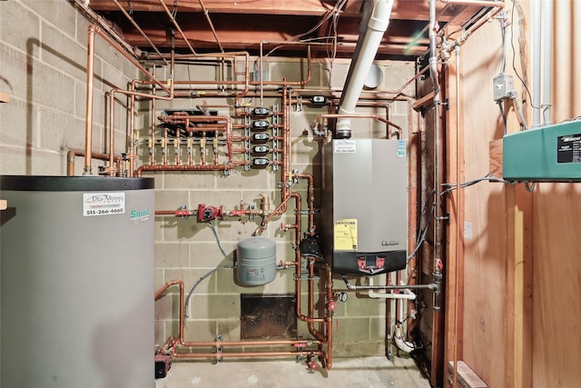 utilities featuring tankless water heater and gas water heater