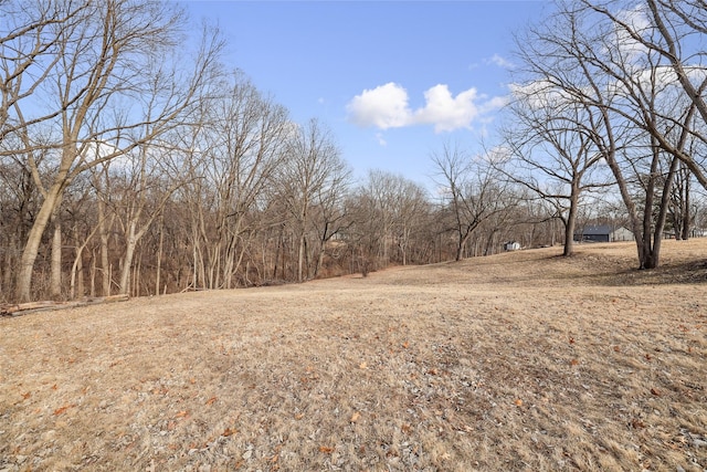 view of local wilderness