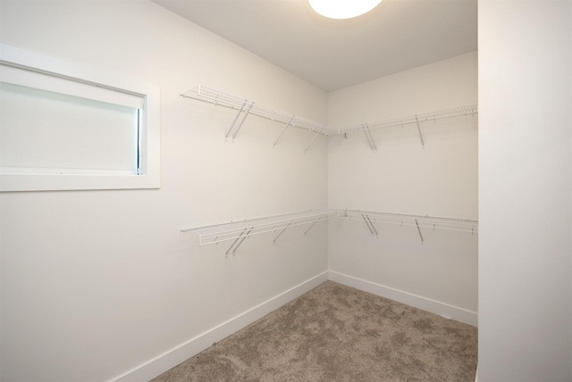 806 SW Prairie Trail Pkwy, Ankeny, IA 50023 - photo 28
