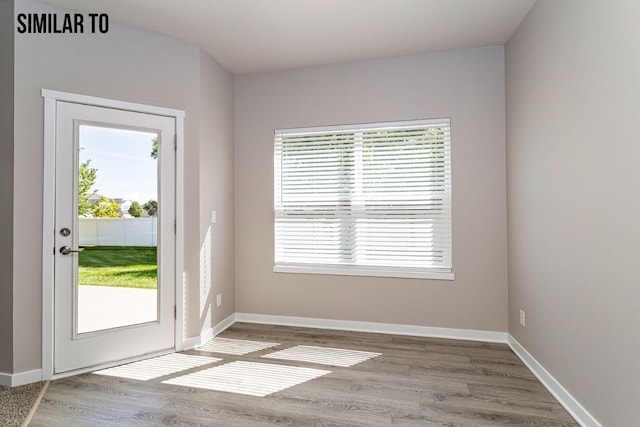 entryway featuring hardwood / wood-style floors