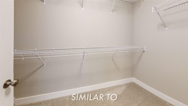 spacious closet with carpet floors