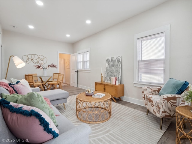 living room with wood-type flooring