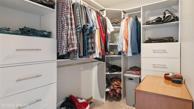 view of spacious closet