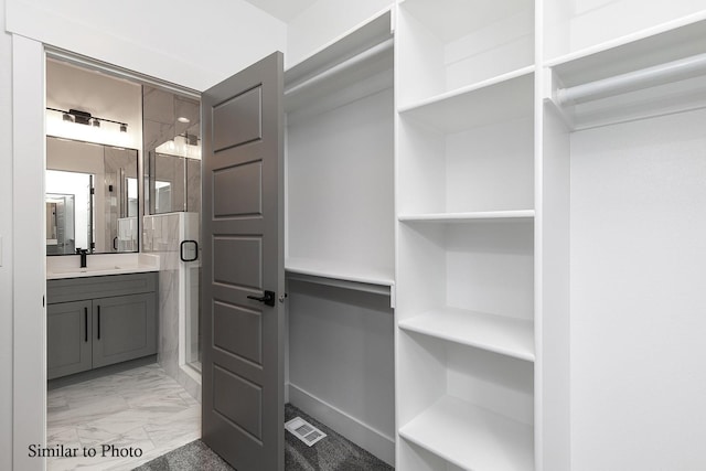 walk in closet with sink