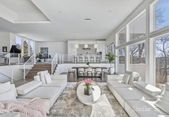 living room featuring wood finished floors